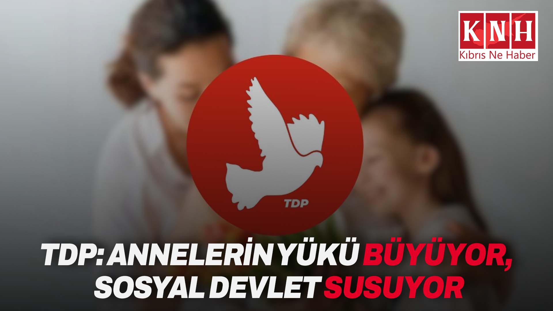 TDP: “Annelerin yükü büyüyor, sosyal devlet susuyor”