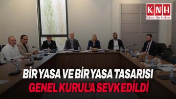 Hukuk, Siyasi İşler, Dışilişkiler ve Savunma Komitesi bir yasa ile bir yasa tasarısını Genel Kurul’a sevk etti