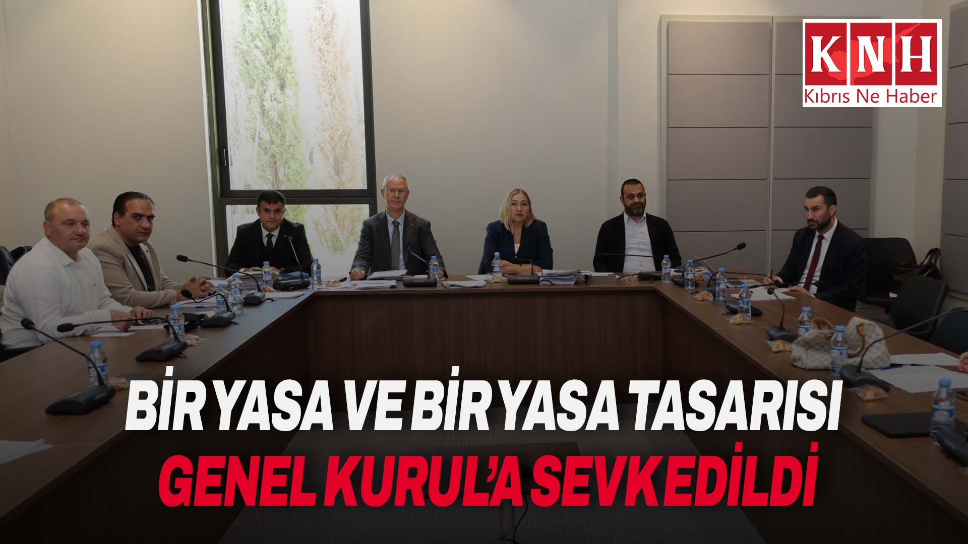 Hukuk, Siyasi İşler, Dışilişkiler ve Savunma Komitesi bir yasa ile bir yasa tasarısını Genel Kurul’a sevk etti