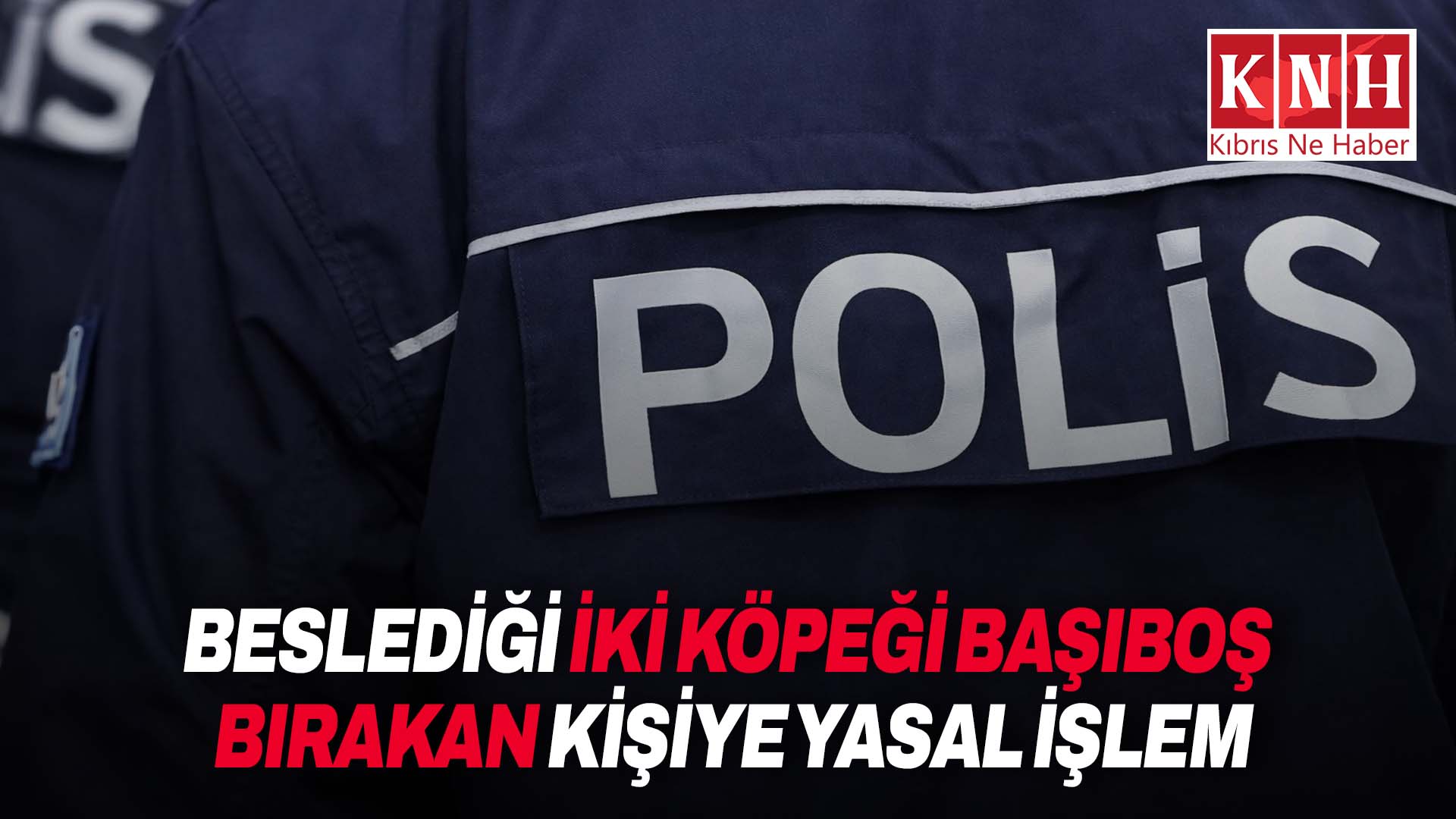 Vadili’de beslediği iki köpeği başıboş bırakan kişiye yasal işlem