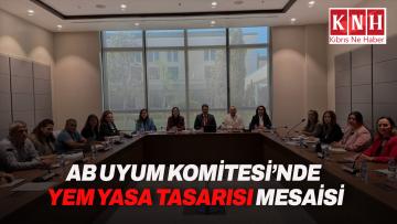 AB Uyum Yasa Tasarılarını Görüşmek Üzere Oluşturulan Geçici ve Özel Komite bugün toplandı