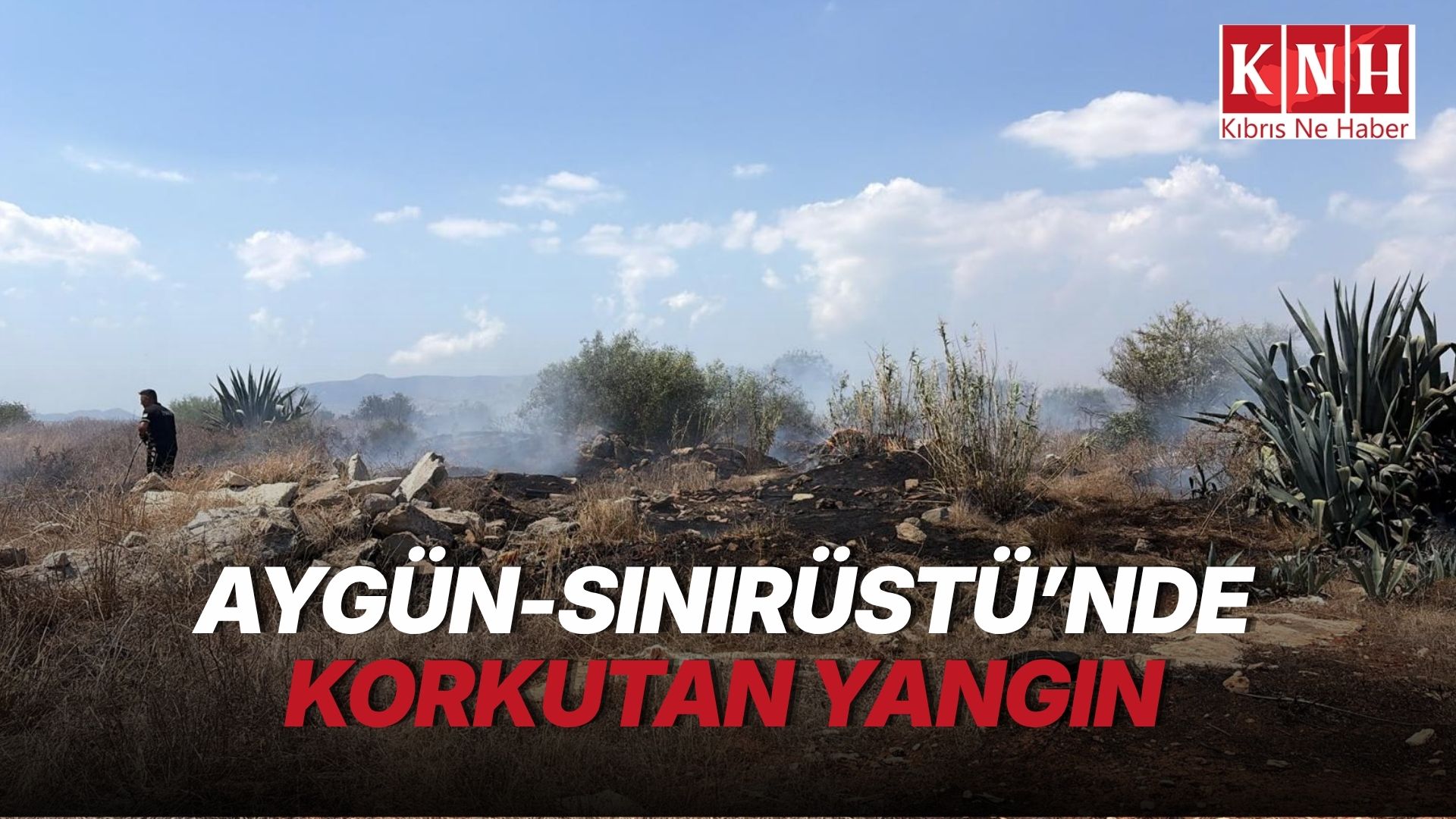 Aygün-Sınırüstü köyleri arasındaki yangında 120 dönümlük arazi zarar gördü