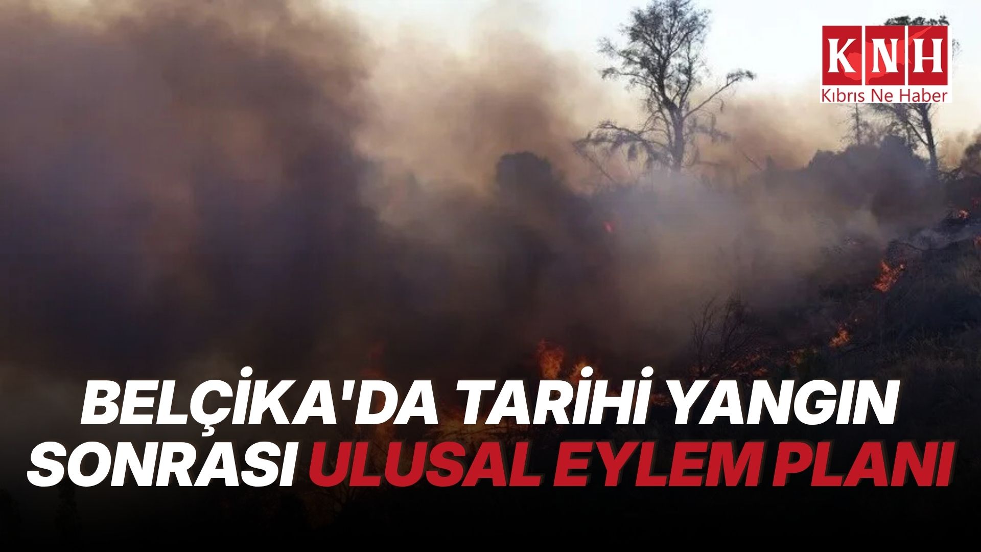 Belçika, orman yangınlarına karşı ulusal eylem planı hazırlayacak