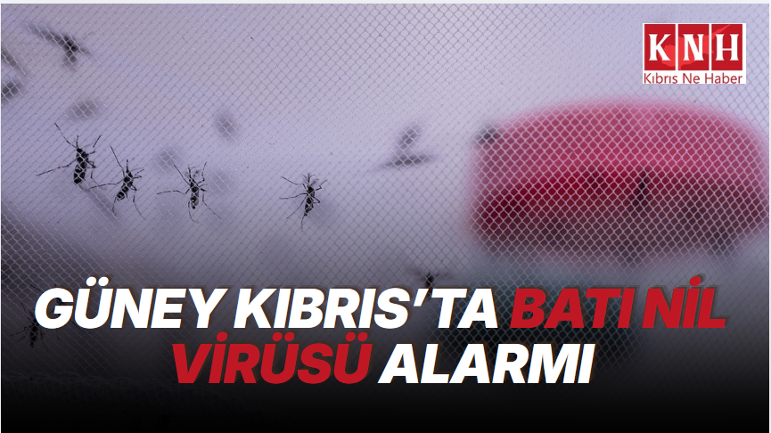 Güney Kıbrıs’ta Batı Nil Virüsü alarmı: 14 vaka, 1 ölüm