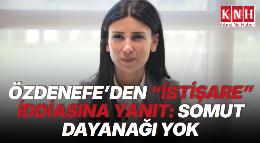 Özdenefe: Seçim sisteminin temel unsurları seçime kısa süre kala değiştirilmemeli