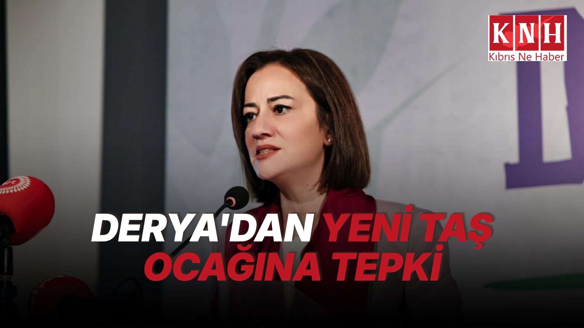 Derya’dan yeni taş ocağı projesine sert tepki: “Memleketi moloz yığını yaptılar”